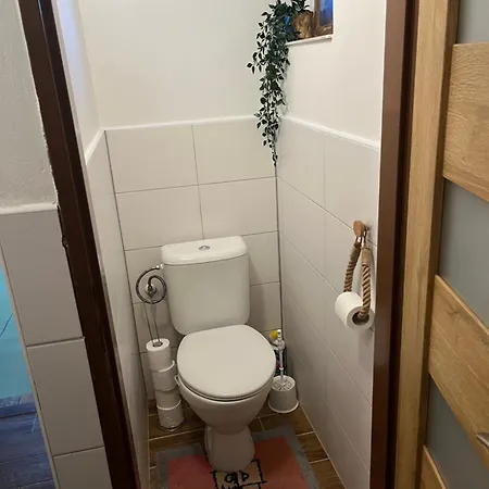 Apartment Pod Lesem